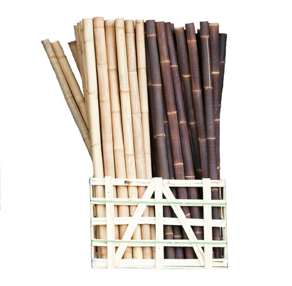bambusrohre_bambusstangen_bambusstäbe_bambus-import