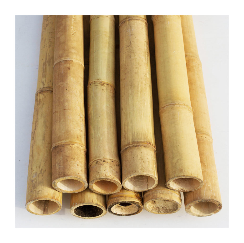 bambus_bambus-rohr_bambus-stab_bambus-rohre
